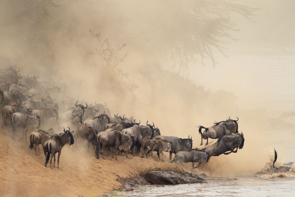 zambia