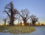 Okavango & Makgadikgadi Pans