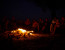 2-Night Mobile Safari in Hwange National Park, Zimbabwe 