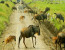 7 Days – Migration Safari Tour – December To March