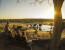 12 Days Zambia & Botswana Safari