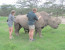 2 DAYS BREATHTAKING SWEETWATERS/OL PEJETA CONSERVANCY SAFARI