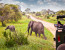 4 Day Safari to Ruaha National Park
