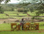 Lake Tanganyika & Katavi National Park Tour (5 Days Safari)