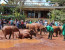 Giraffe Centre and David Sheldrick Half Day Tour 