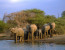 3 Days 2 Nights Safari Kruger National Park Safari