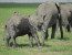 3Days 2Nights Amboseli Safari