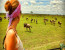 7 Days – Migration Safari Tour – December To March