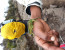 7 DAYS Mt.KILIMANJARO CLIMBING- UMBWE ROUTE