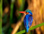 2 Days Budget Lodge Safari Tour Tanzania