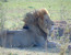 3 Days Tsavo East and Amboseli Kenya Safari