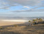 1 DAY SAFARI TO TARANGIRE NATIONAL PARK
