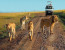 3 days Murchison Falls safari with Big 5 sightseeing