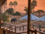 Lake Tanganyika & Katavi National Park Tour (5 Days Safari)