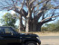 Hwange National Park Day Trip 