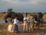Lake Tanganyika & Katavi National Park Tour (5 Days Safari)