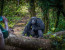 GOMBE NATIONAL PARK - 3 Days/2 Nights - West Tanzania