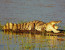 3 Day 2 Nights Selous Game Reserve Lodge Safari