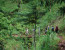 Materuni Waterfall & Coffee Ceremony - Day Tour