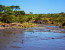 5 Days 4 Nights Ruaha Wildlife Lodge Safari