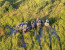 8 Days Guided Delta & Chobe Trail Tour