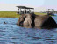 8 Days Guided Delta & Chobe Trail Tour
