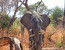 4-Day Southern Kenya Wilderness Safari