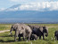 8 Days Masai Mara Lake Nakuru Camping Safari Holiday