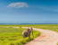 5 Days, 4 Nights Safari to Amboseli, Tsavo West & East from Nairobi