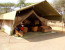 12 DAYS GROUP JOINING MASAI MARA, LAKE NAKURU, AMBOSELI, ARUSHA TARANGIRE, NGORONGORO CRATER, SERENGETI NATIONAL PARK AND LAKE MANYARA BUDGET SAFARI.