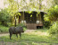 Ngala Tented Camp Safari Experience