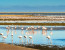 Sandwich Harbour Tour