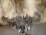 5 days migration safari in Mara national reserve
