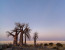 8 Days Guided Delta & Chobe Trail Tour