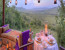 2 Days Wildlife Safari -Mikumi National Park 