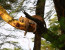 3 DAYS MASA MARA FLY-IN SAFARI