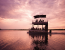 8-DAY BOTSWANA AND VICTORIA FALLS LUXURY SAFARI