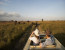 Amaizing Tanzania Serengeti Wildebeest Migration Special Family Safari.