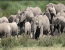 3 Days Big Five Camping Safari - Serengeti and Ngorongoro 