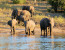 8-DAY BOTSWANA AND VICTORIA FALLS LUXURY SAFARI
