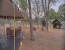 Classic Explorer Safari Low Season (Feb 1 - May 31, Nov 1 - Dec 31)