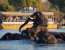 Chobe Day Trip