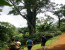 Materuni Waterfall & Coffee Ceremony - Day Tour