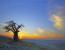 8-DAY BOTSWANA AND VICTORIA FALLS LUXURY SAFARI