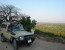 14 Days GET Combined Safaris - Kilimanjaro Climbing, Kilimanjaro Marathon & Wilderness Safari