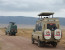 14 Days GET Combined Safaris - Kilimanjaro Climbing, Kilimanjaro Marathon & Wilderness Safari