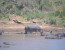 4 Days Magical Migration safari Masi Mara/Lake Nakuru