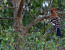 Leopard Mountain Game Lodge Safari Package