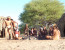 4-Day Central Kalahari Game Reserve and Nxai Pan.