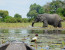  1-Day Mokoro(Canoe) in Okavango Delta, Botswana